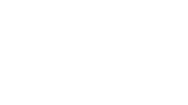 Schecter Standard