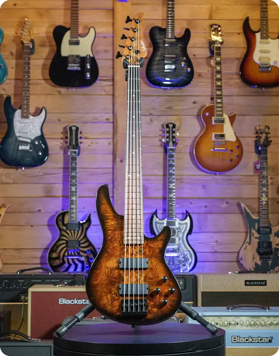 Schecter standard