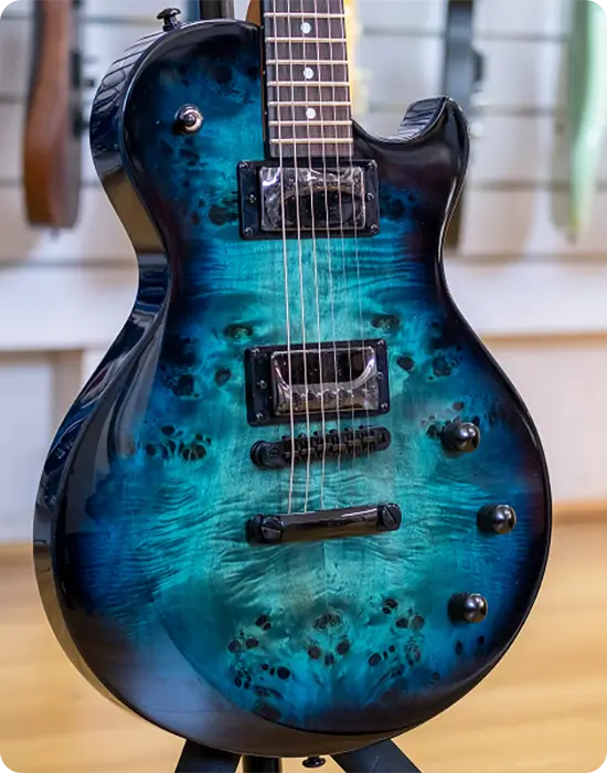 Schecter standard